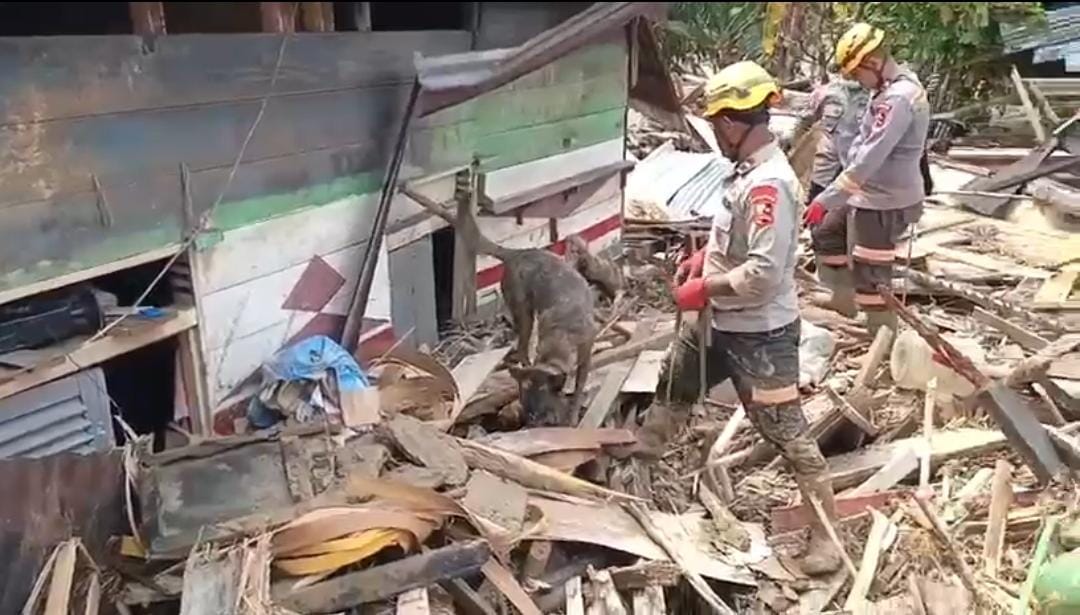 WhatsApp Image 2025-12-04 at 15.51.23 (1)