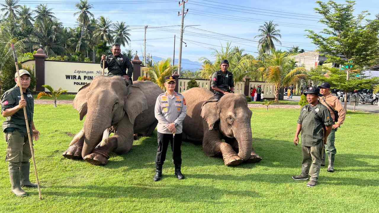 WhatsApp Image 2025-12-09 at 10.33.34