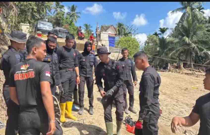 WhatsApp Image 2025-12-11 at 03.38.57 (1)